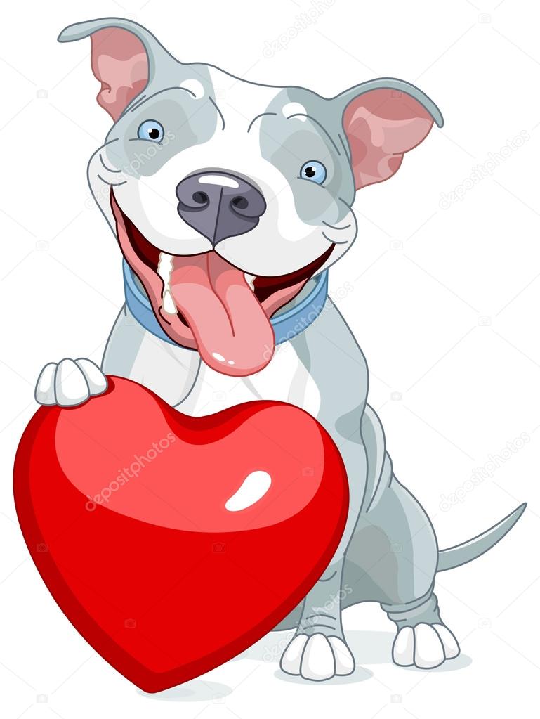 Pit Bull Dog holds heart