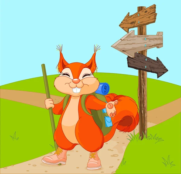 Squirrel walks to camping — Stock Vector