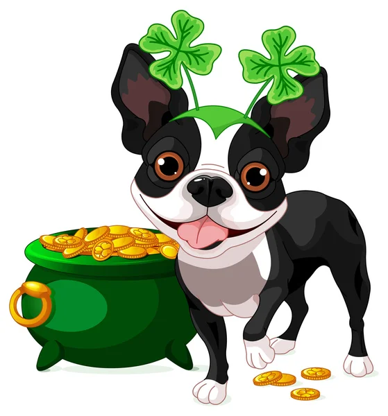 Boston Terrier celebrates Saint Patrick Day — Stock Vector