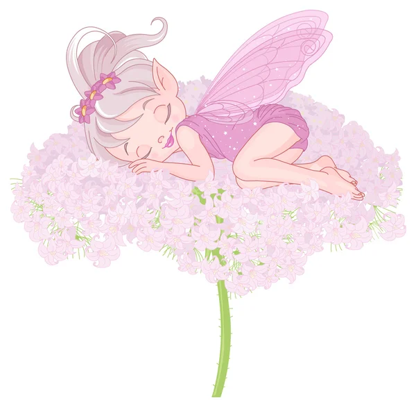 Cute sleeping Pixy Fairy — Stock Vector