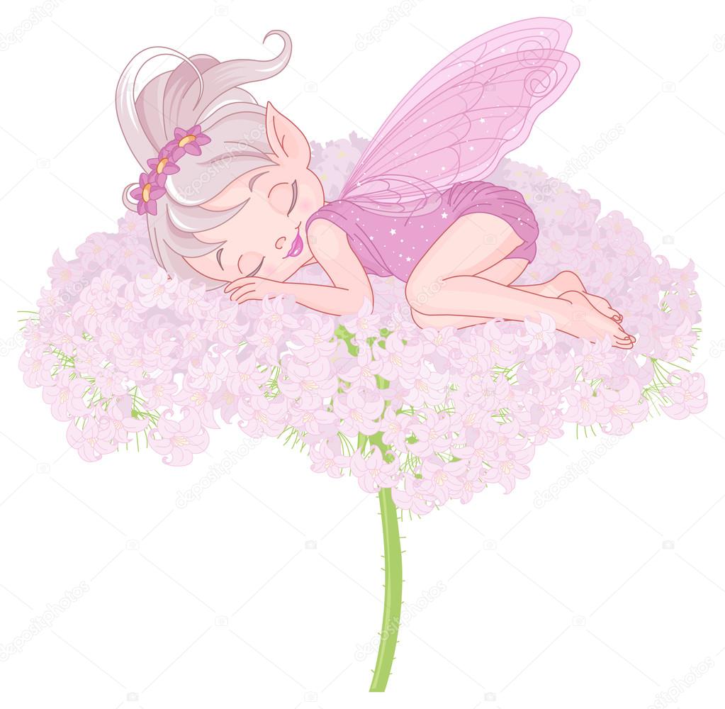 Cute sleeping Pixy Fairy