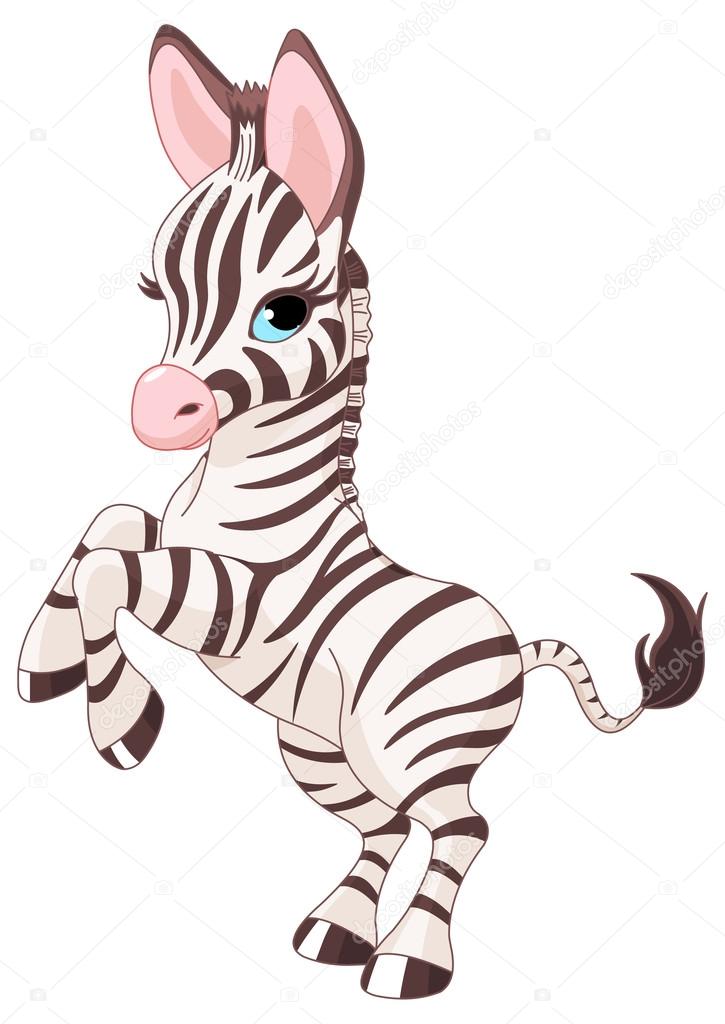 Illustration of very cute baby zebra