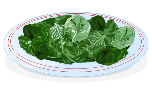 Plate of fresh spinach — Stock Vector
