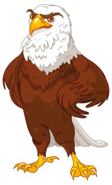 Gurur American eagle