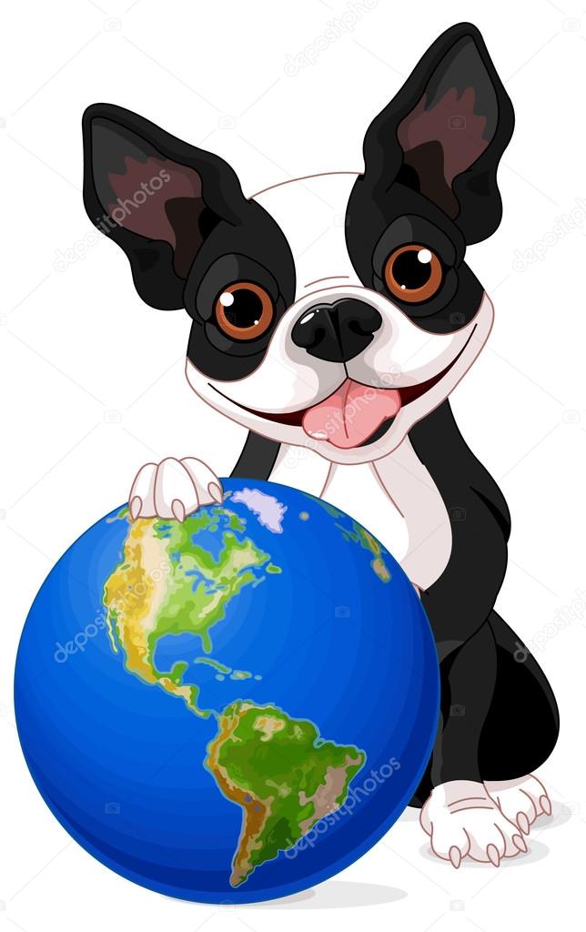 Boston Terrier holds the Earth