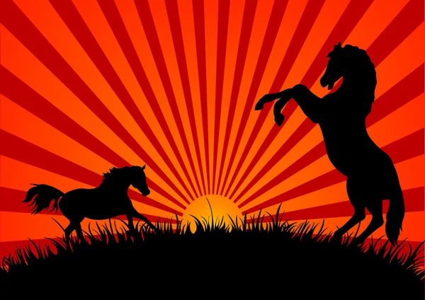 Silhouet paarden in een veld bij zonsondergang — Stockvector