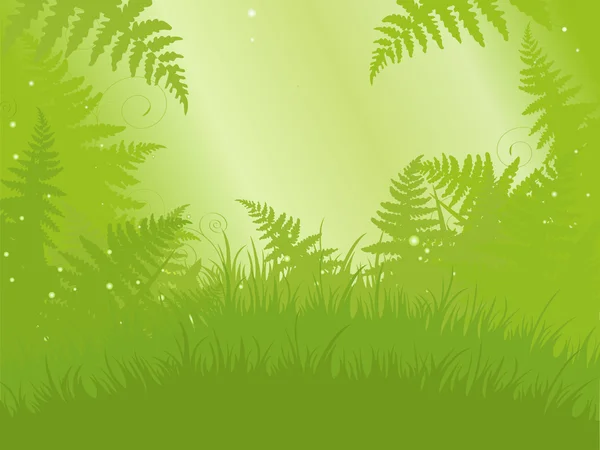 Fern meadow background — Stock Vector