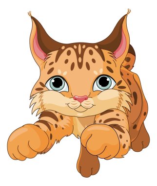 cute lynx cub clipart