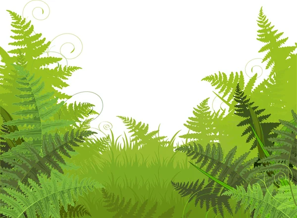 Fern meadow background Vector Graphics