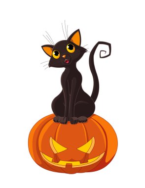 kedi halloween kabak oturuyor