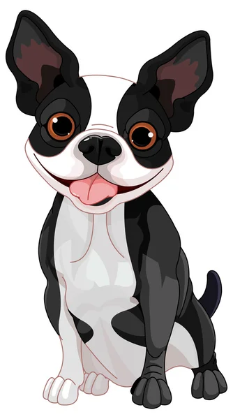 Schattig Boston Terriër — Stockvector