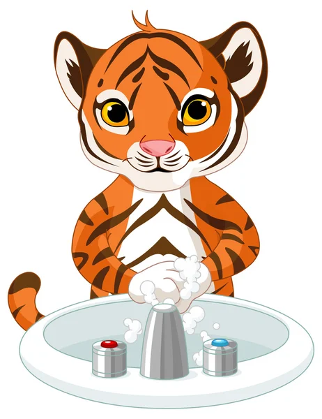 Tigre lavándose las manos — Vector de stock