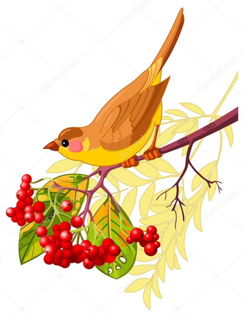 bird sitting on branch