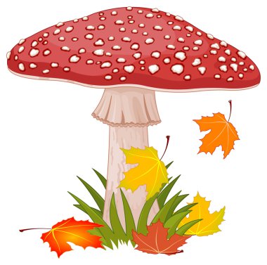 Amanita mantar çim