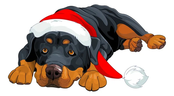 Bellissimo Natale Rottweiler — Vettoriale Stock