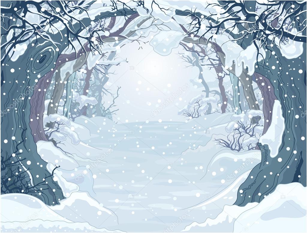 Winter forest landscape