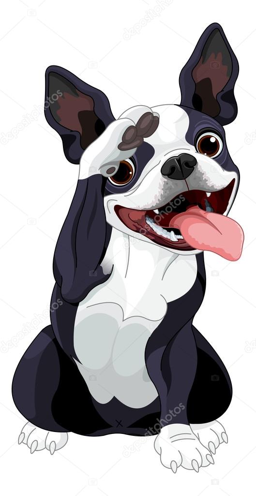 Illustration of Boston terrier saluting