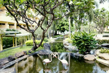 Güzel bir tropik bahçe süs havuz