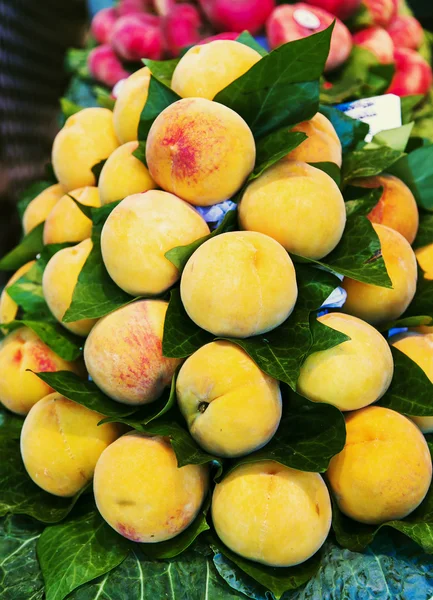 Verse biologische abrikoos met groene bladeren te koop — Stockfoto