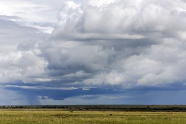 Savana üzerinde yağmur fırtına bulutları