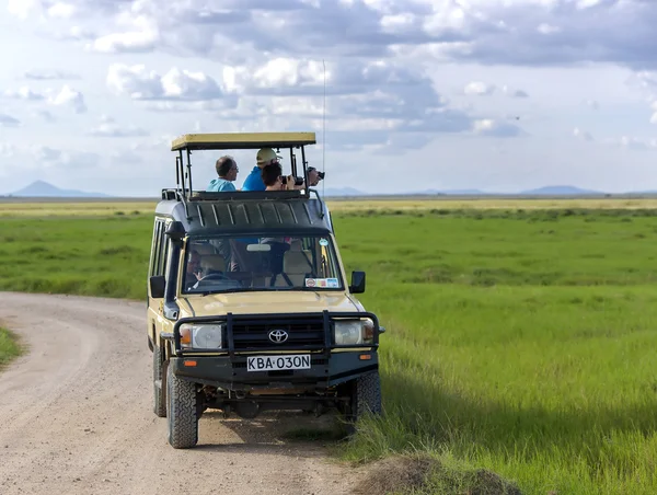 Visitors on jeep pictures of wild animals in Tarangire National Park — Stock Photo, Image