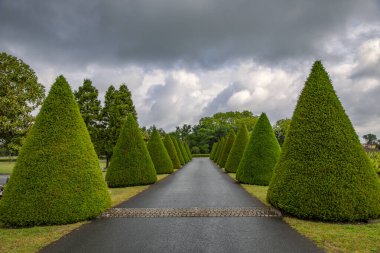 Konik yeşil, Saint-Emilion, Bordeaux 'da fırtınalı bir gökyüzünün arka planına karşı garaj yolundaki thuja' yı budadı.