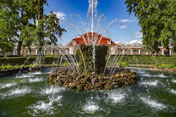 Peterhof Saint Petersburg Oroszország 2016 Július Monplaisir Garden Szökőkúttal Alsó — Stock Fotó
