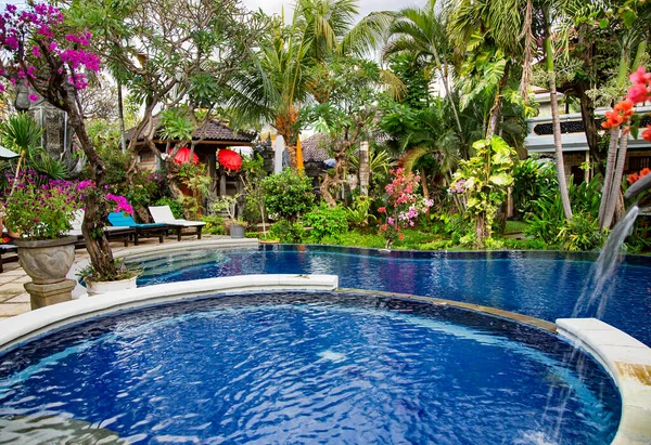 Small Pool Clear Water Tropical Plants Lovina Bali Island — Stock Photo, Image
