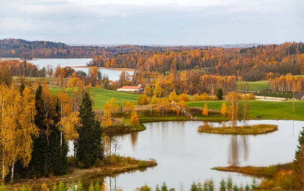 Widok Lotu Ptaka Jesienny Las Rzekę Gauja Góry Gaizinkalns Sigulda — Zdjęcie stockowe