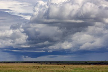 Yağmur mevsiminde yağmur yağışı olan fırtına bulutları Masai Mara, Kenya, Afrika 'da