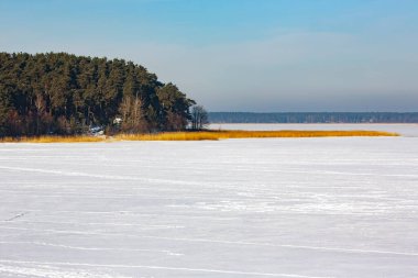Riga, Letonya 'da güneşli bir kış gününde, buzun altında bir kış gölünün kıyısında kozalaklı bir orman.