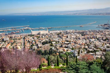 ISRAEL, HAIFA, MARCH, 20, 2016 - Mount Carmel 'den Hayfa, İsrail' deki şehir ve limana panoramik manzara.