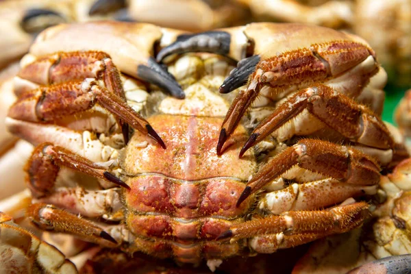 Sea fresh crab close up for sale at the Boqueria market, Barcelona, Spain.Seafood concept.