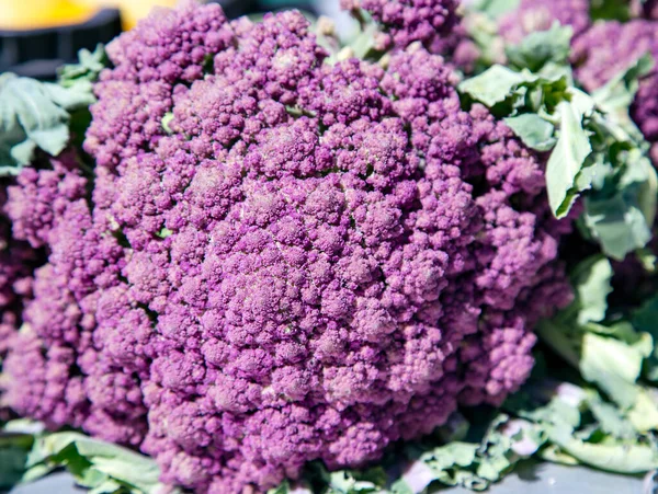 Свіжа Голова Фіолетова Римська Цвітна Капуста Ринку Здорова Вегетаріанська Їжа — стокове фото