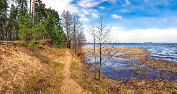 Vista Panorâmica Floresta Pinheiros Costa Belo Lago Kisezers Riga Letónia — Fotografia de Stock