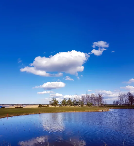 Paysage Printanier Ensoleillé Avec Petits Lacs Sur Des Prairies Inondées — Photo