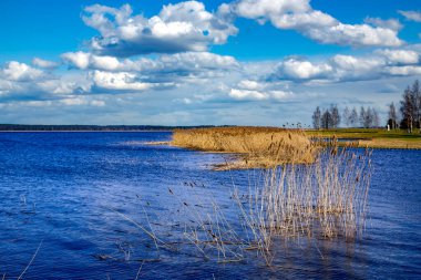 Riga, Letonya 'da kümülüs bulutlarının arka planına karşı tatlı su ve su basmış çayırlar ile güzel Kisezers Gölü