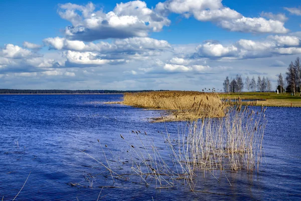 Vackra Kisezers Sjö Med Sötvatten Och Översvämmade Ängar Mot Bakgrund — Stockfoto