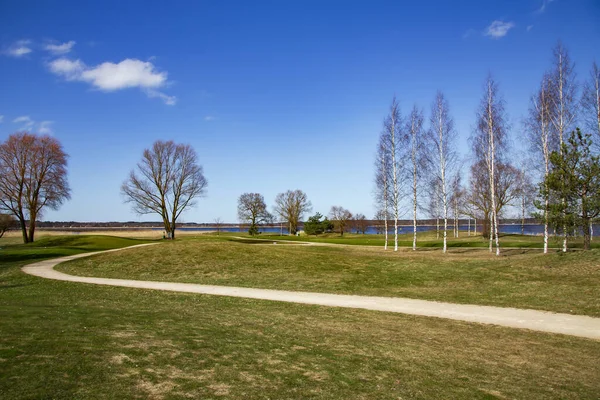 Sunny Spring Landscape Banks Kisezers Lake Young Birch Trees Riga — Stock Photo, Image