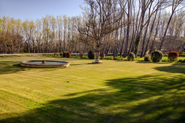 Fransa 'nın Avignon kentinde güneşli bir baharda Provence' deki tipik kırsal alan.
