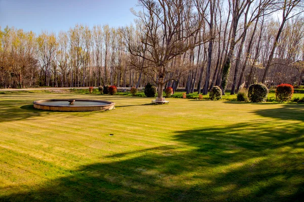 法国阿维尼翁 春天阳光灿烂的普罗旺斯典型的乡村风景 — 图库照片