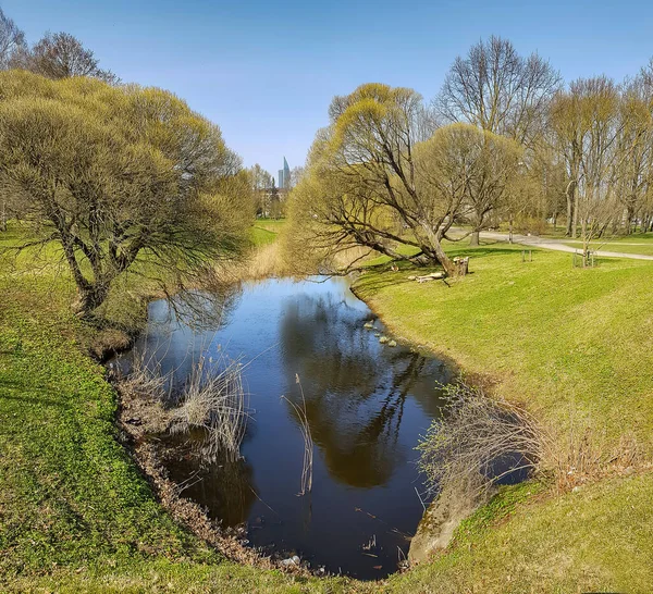 Paisagem Primavera Ensolarada Com Pequena Lagoa Cercada Por Árvores Refletindo — Fotografia de Stock