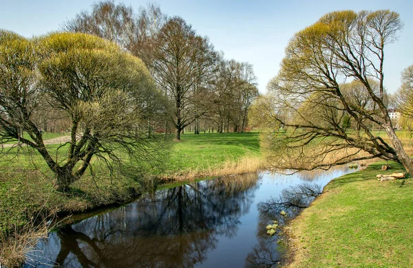 在拉脱维亚里加胜利公园 阳光普照的春景 小池塘被树木环绕 反映在水面上 — 图库照片