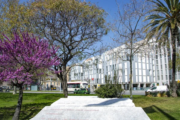 Испания Барселона Март 2021 Парки Цветущими Деревьями Фоне Городской Инфраструктуры — стоковое фото