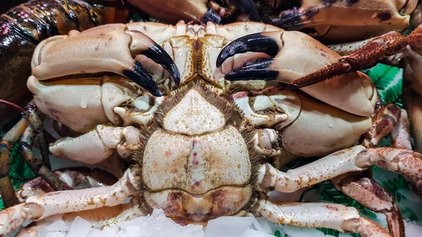 Sea fresh crab closeup for sale lying on ice at the La Boqueria market, Barcelona, Spain. Seafood concept.