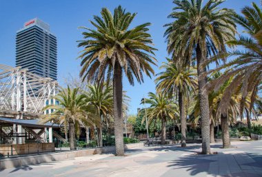 İspanya, BARCELONA, Mart 2021: Arka planda Port Olimpic yakınlarındaki Palmiye bahçesi Vila Olimpica, Barcelona, Katalonya, İspanya 'da yer almaktadır..