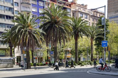İspanya, BARCELONA, Mart 2021: Barcelona, İspanya 'nın merkez caddelerinin kaliteli peyzaj ve bahçıvanlığı. Temiz hava, sağlıklı yaşam tarzı konsepti..