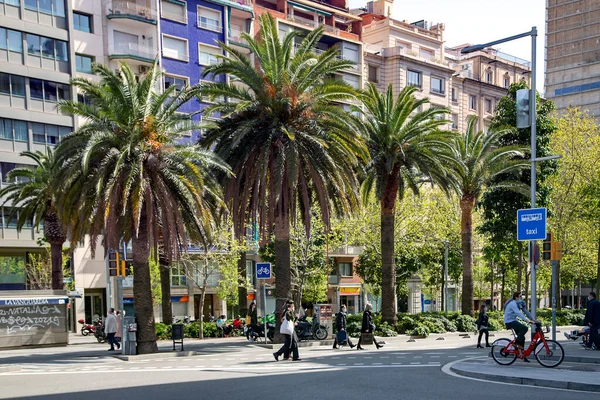 스페인 마르크 2021 스페인 바르셀로나 거리들의 정원의 질좋은 예이다 건강에 — 스톡 사진