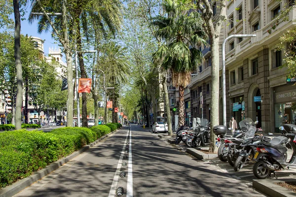 Spain Barcelona March 2021 Quality Landscaping Gardening Central Streets Barcelona — Stock Photo, Image