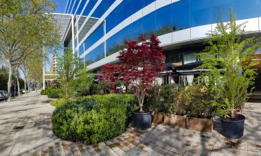 İspanya, Barcelona 'nın merkez caddelerinin kaliteli peyzaj ve bahçıvanlığı. Temiz hava, sağlıklı yaşam tarzı konsepti..